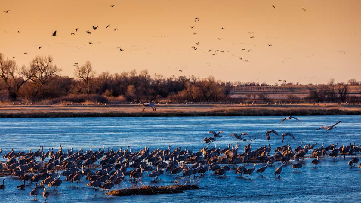 Living In Grand Island, NE - Grand Island Livability