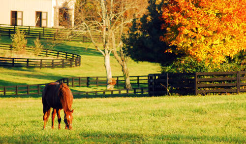 Photo of Monticello, KY